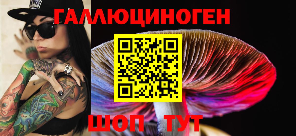 Псилоцибиновые грибы Psilocybine cubensis  Вход с VPN  Выборг 