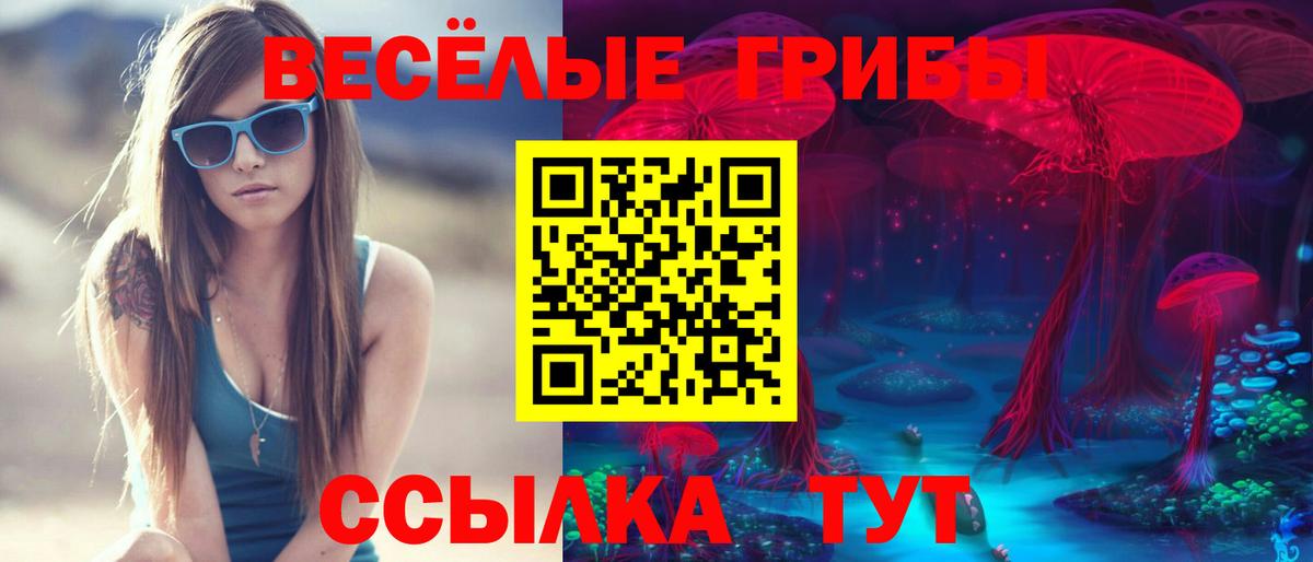 Псилоцибиновые грибы Psilocybine cubensis Выборг